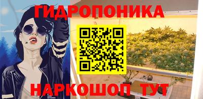 дурь Камышлов