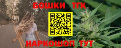 дурь Камышлов