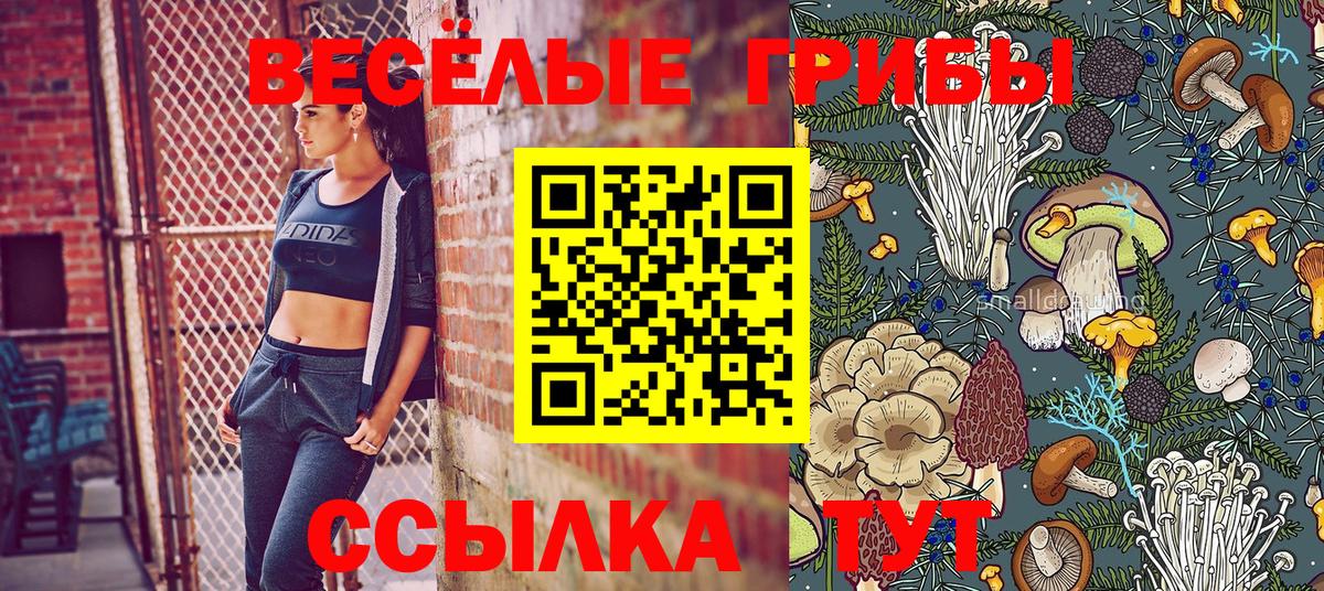 Краснознаменск  Псилоцибиновые грибы Psilocybine cubensis  Вход с VPN 